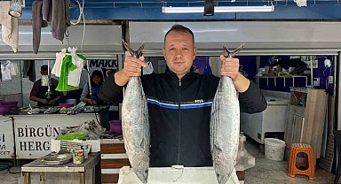 Bandırma Balık Hali'nde sezon hareketliliği başladı