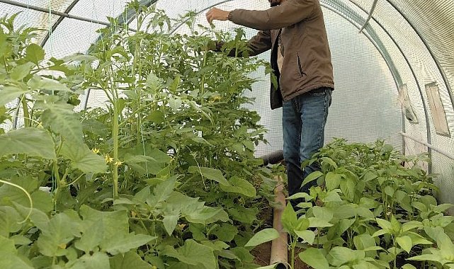 Berberlikten arta kalan zamanını doğaya ayırıyor