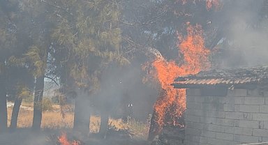 Bucak'ta odunlukta çıkan yangın korkuttu