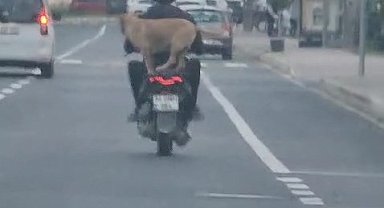 Çanakkale'de motor artçısı görenleri hem şaşırttı hem neşelendirdi