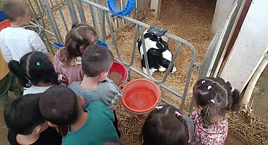 Minik öğrenciler tarımla buluştu