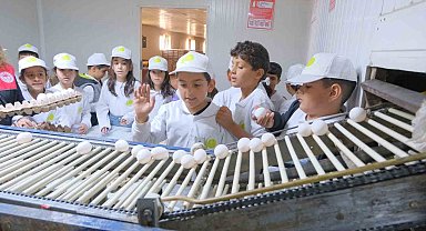 Muş'ta "kooperatifçilik" temalı tarım kampı düzenlendi