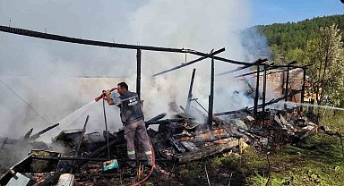 Yangında 36 kovan arı telef oldu