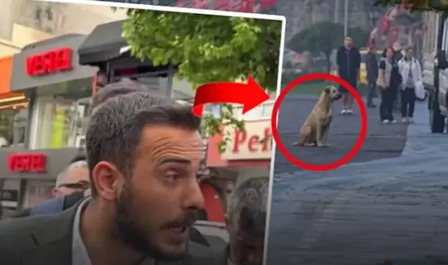 AK Partili ismin 10 Kasım paylaşımı büyük tepki çekti!