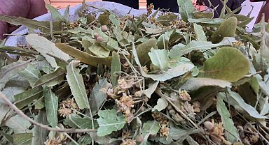 Geçen sene altınla yarışıyordu, bu yıl fiyatı düştü