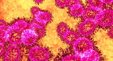 Nipah virüsü yayılıyor mu? Asya alarmda…