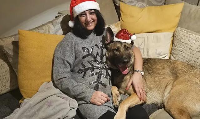 Elindeki yarayı köpek yaladı, hayatı karardı!