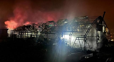 Bursa’da çiftlik yangını!