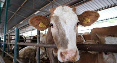 Bu kurallara uymayanlara ağır ceza!