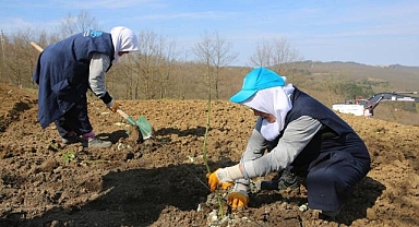 Bursa’da çiftçiye yeni umut