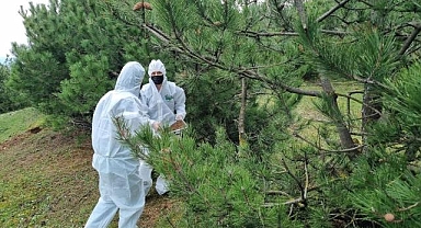 Bursa ormanlarını onlar koruyacak!