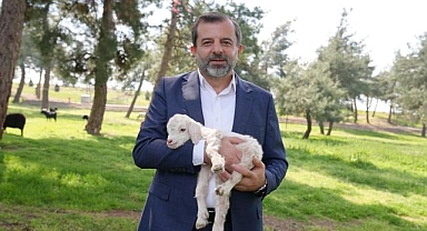 Bursa’ya yeni hayvanat bahçesi