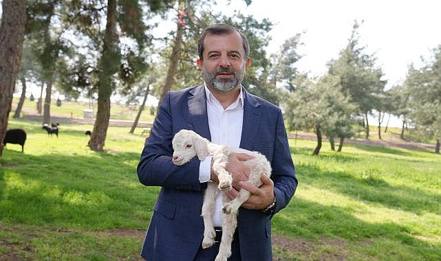 Bursa’ya yeni hayvanat bahçesi