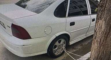 Arabasını ağaca bağladı
