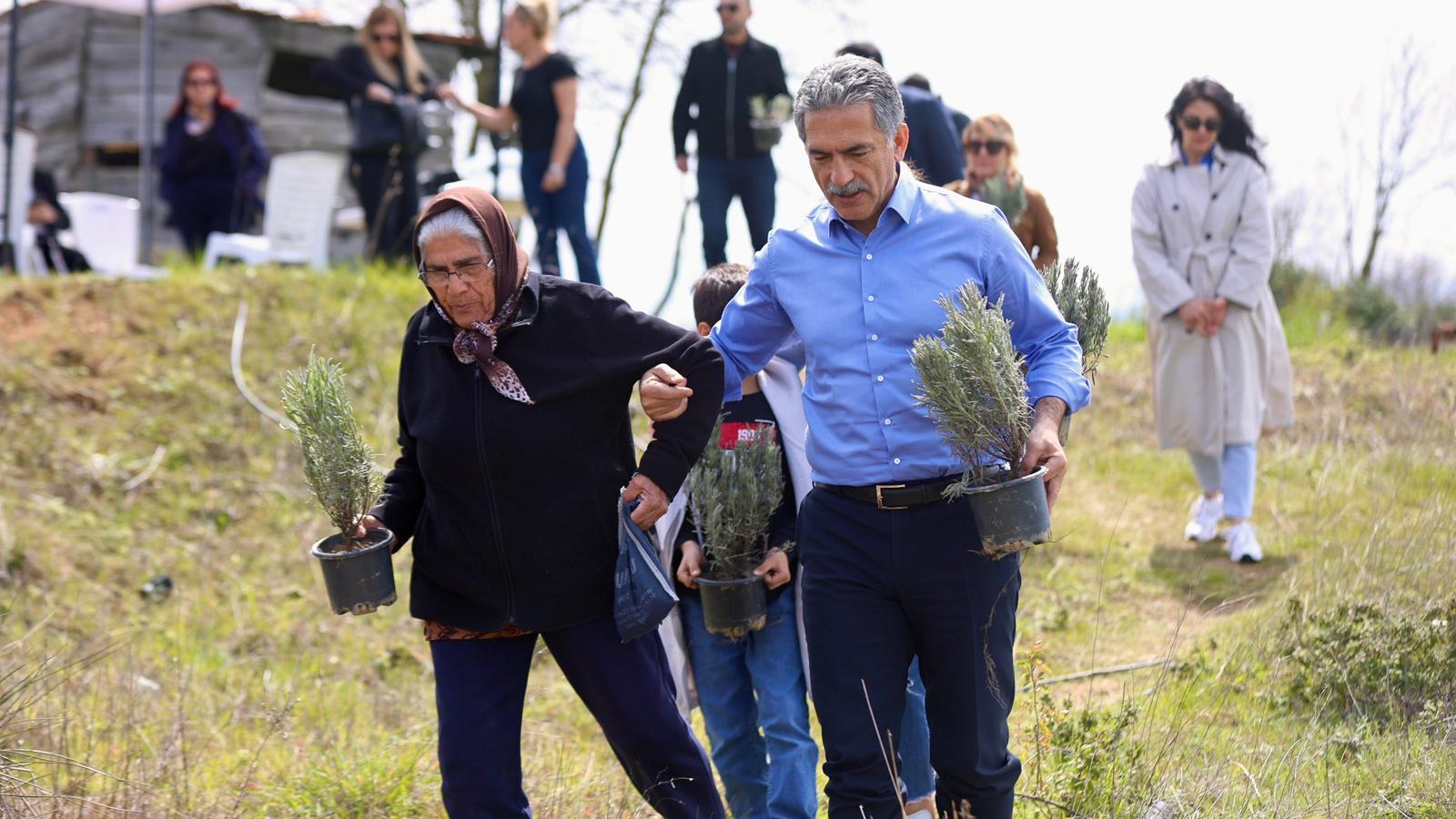 Gemlik Belediyesi Lavanta Bahçesi Kuruyor