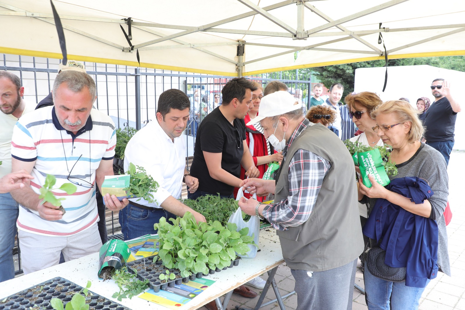 Gemlik’te organik ve ücretsiz fide dağıtımı başladı