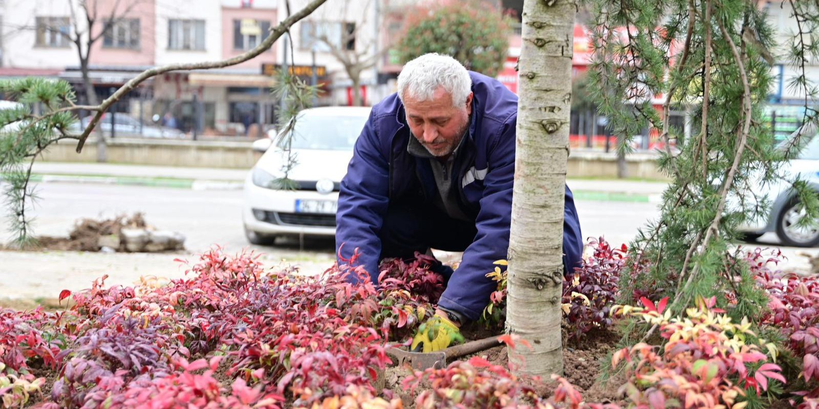 Gemlik’te Peyzaj ve Kent Estetiği Çalışmaları Sürüyor