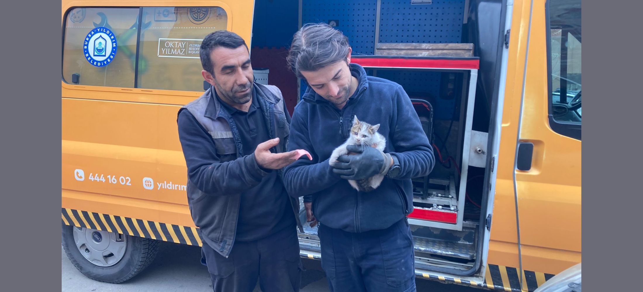 Kaputa sıkışan yavru kedi kurtarıldı