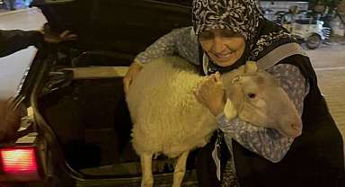 Kurbanlık olmaktan son anda kurtuldu