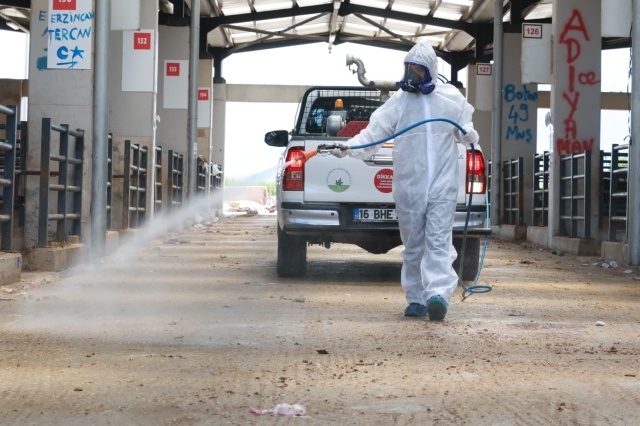 Osmangazi’de Kurban Pazarları İlaçlanarak Dezenfekte Edildi