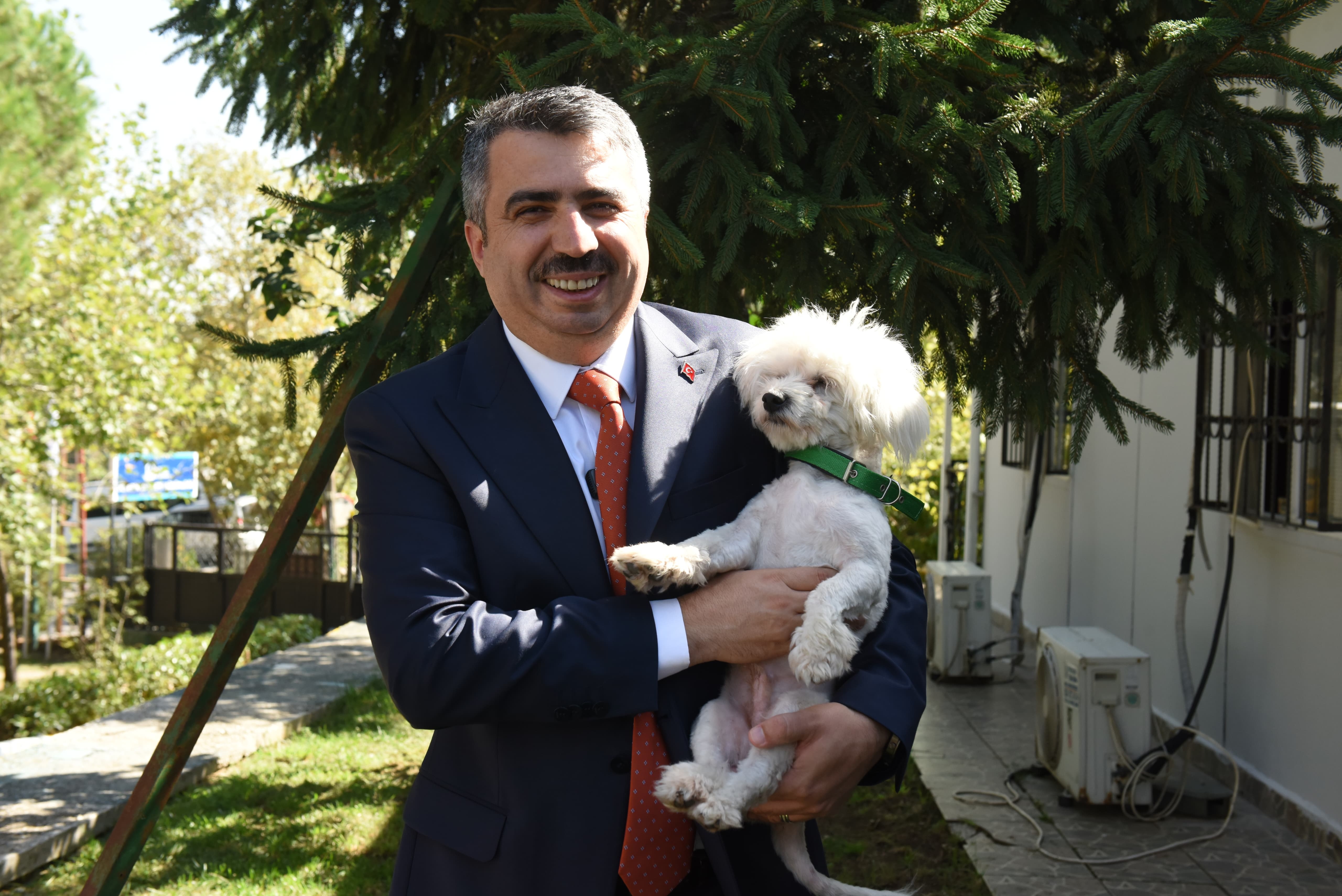 Sahiplenilen hayvanların 1 yıllık muayenesi yıldırım ...