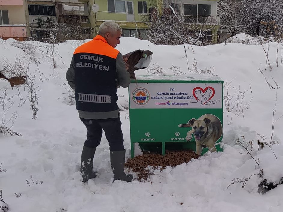 Sokaktaki canlar sahipsiz kalmadı