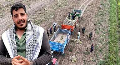 Bir aile başlık parası için çalışıyor