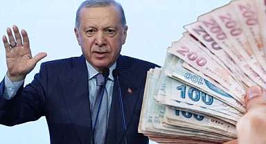 Erdoğan'ın ve milletvekillerinin maaşı ne kadar oldu?
