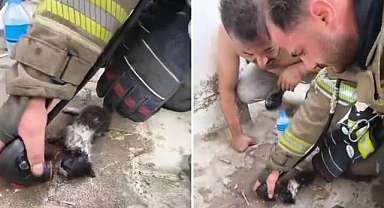 Alevlerin arasından çıkardılar