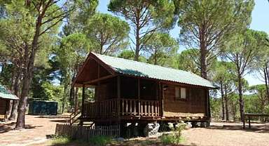 Bungalovlar için önemli karar
