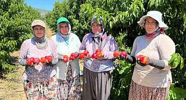 Bursa’da fiyat tepkisi! Tarlada 10-15, markette 100…