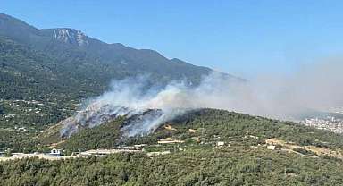 Bursa’nın üç bölgesinde aynı anda yangın