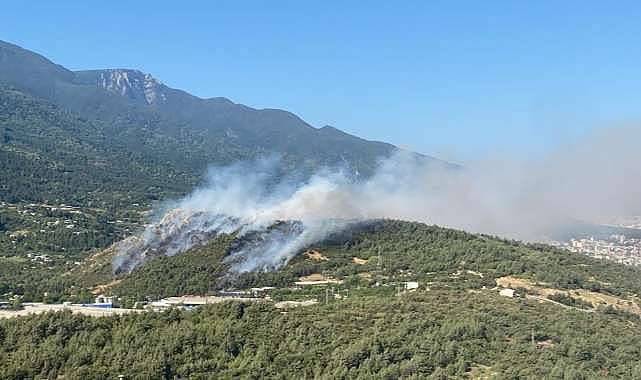 Bursa’nın üç bölgesinde aynı anda yangın