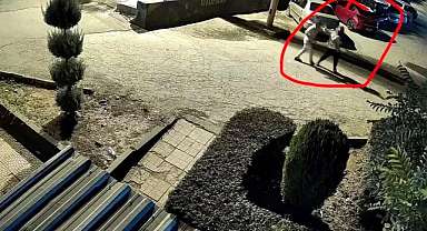 Eşinin silahından çıkan kurşunlarla hayatını kaybetti