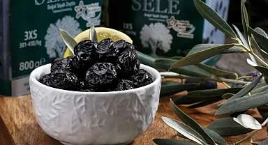 Bursa’da dikkat çeken zeytin zirvesi!