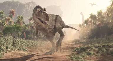T-rex ile insanın ortak özelliği keşfedildi